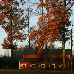 Meet your Posher, Marisa